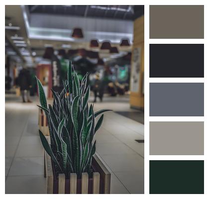 Plant Decoration Shopping Mall Image